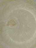 Cream cheese Frosting ngeju topping kue
