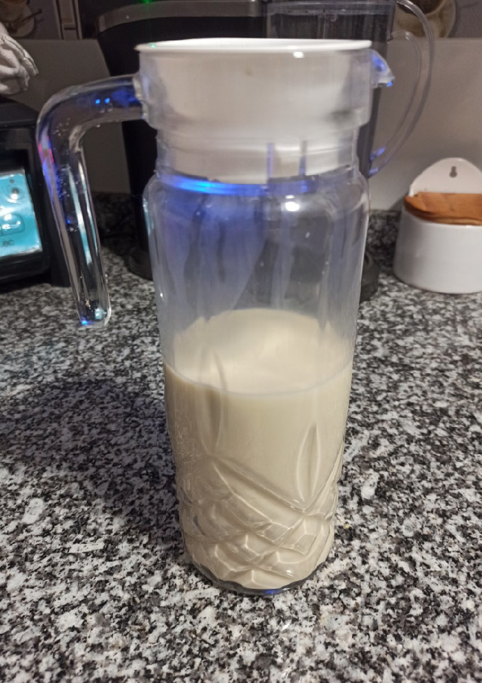 Una foto de Leche vegetal de chufa (horchata)