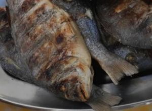 Foto de Dourada grelhada com molho de Limão e Alho