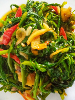 Foto resep Tumis kangkung