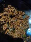 Rabuk tongkol ala bumil