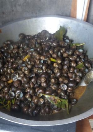 Foto resep Tutut pedas