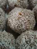 Trufas Fáciles de Nuez y Dátiles con Cacao