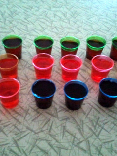 A picture of Vodka Jelly Shots.
