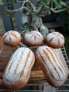 Foto resep Milk heart bread/Mirukuhasu