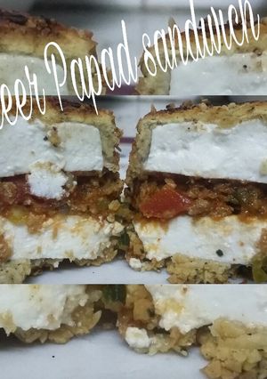 A picture of #paneer papad sandwich.