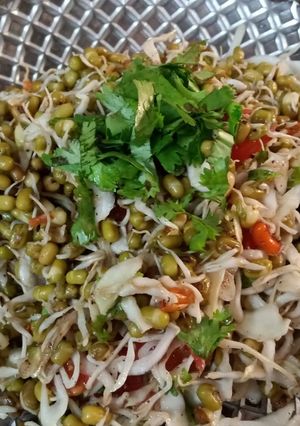 મગ સલાડ(mung salad Recipe in Gujarati) રેસીપી મુખ્ય ફોટો