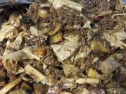 Gambar sambal goreng jawa kicap