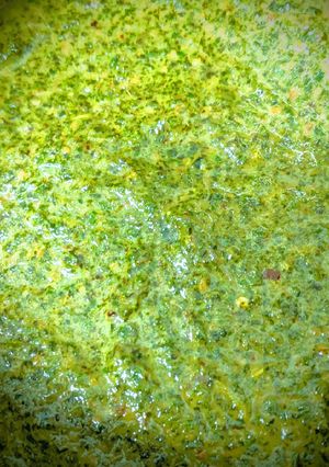 A picture of Mint dip/Pudina thogayal.
