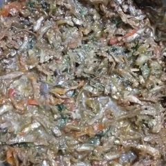 A picture of Omena stew.