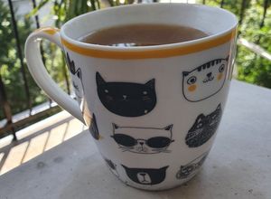 Una foto de Caldo de huesos (pollo)