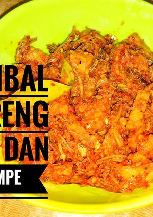Foto resep Sambal goreng tempe teri