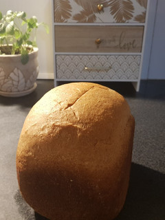 Una foto de Pan Semi Integral en Panetera