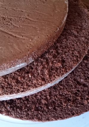 Una foto de Bizcocho de chocolate para torta de rellenos pesados