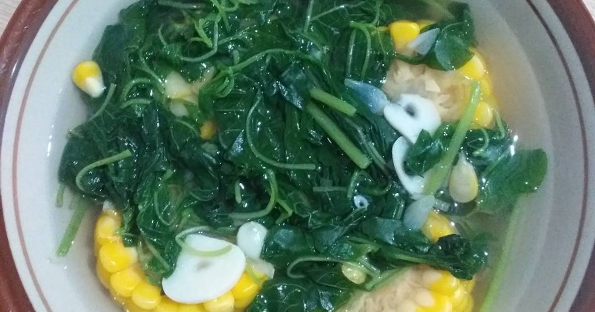 Sayur Bening Bayam Jagung Hasil Akhir