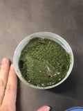 Pesto di cavolo nero velocissimo