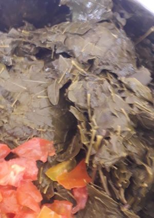 A picture of Zogala(moringa).