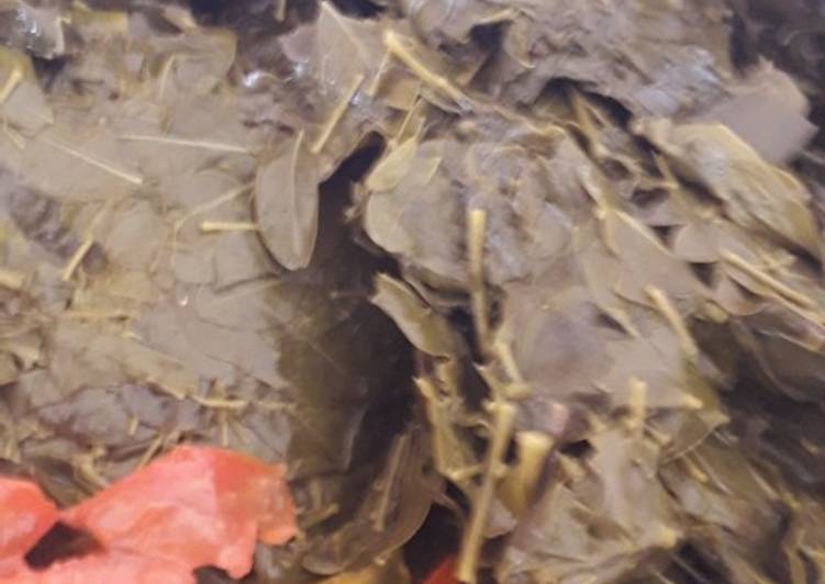 Simple Way to Make Tasty Zogala(moringa) Cooking Basics for Newbies