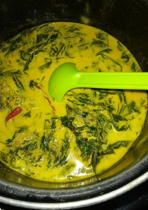Foto resep Gulai ikan ameh jo pucuk parancih