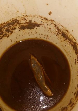 A picture of 🔥 ☕ milkshake.