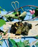 Chả lươn nướng lá lốt