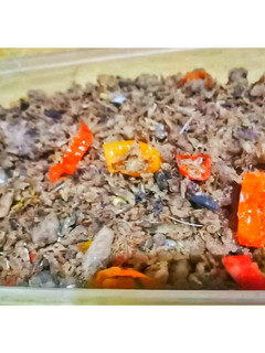 Foto resep Abon Pindang Tongkol