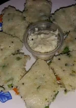 A picture of Spongy veg rawa dhokla.