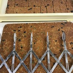 A picture of Granola Bars.