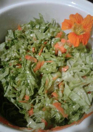 Una foto de Ensalada Reina