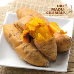 A picture of Ubi Cilembu Panggang | Ubi Madu Cilembu.