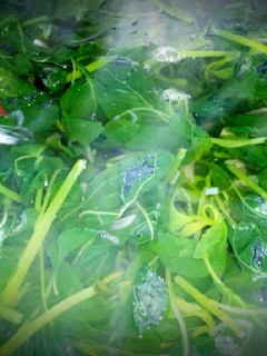 Foto resep Sayur Bening Bayam & Kemangi🌱