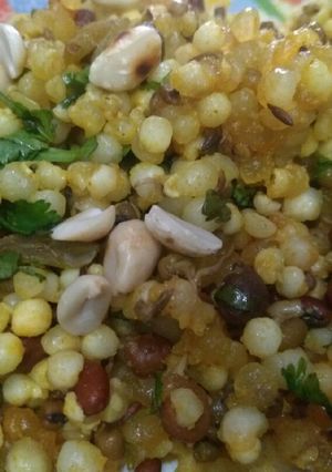 A picture of Sabudana sprouts.
