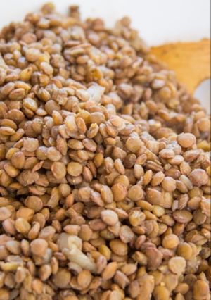 A picture of Instant pot lentils.