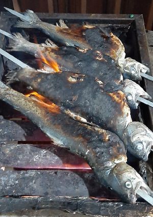 عکسی از دستور ماهی شکم پر کبابی🐟