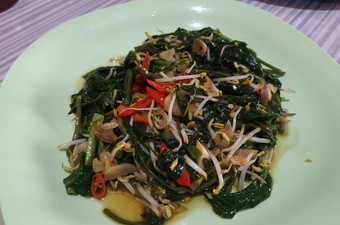 Resep Tumis kangkung dan tauge, Sempurna