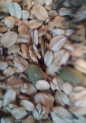 A picture of Granola.