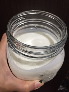 Foto resep Homemade Yogurt
