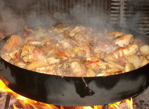 Una foto de Pollo al disco