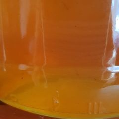 A picture of Dandelion honey.