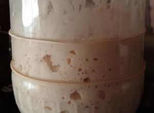 Foto principal de Masa madre. Fermentación natural, sabor y aroma excepcionales