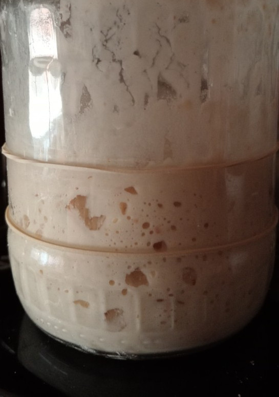 Una foto de Masa madre. Fermentación natural, sabor y aroma excepcionales
