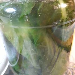 A picture of Mustard Greens Preservation.
