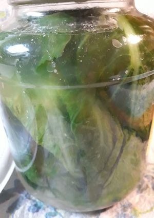 A picture of Mustard Greens Preservation.