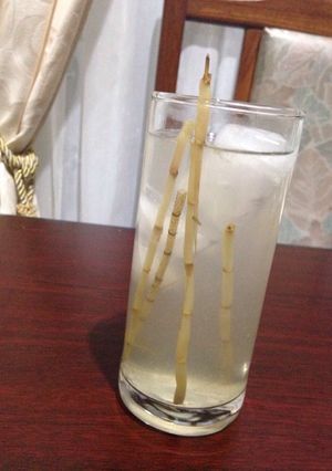 Foto resep Air alang-alang with lemon