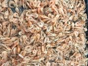 Hình ảnh của tép sấy