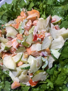 A picture of French salad.