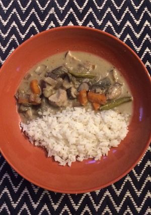 A picture of Thai green curry.