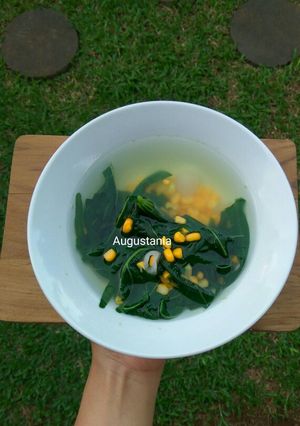 Foto resep Sayur Bening Daun Gedi