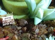 Gambar lauk pelengkap nasi tumpeng