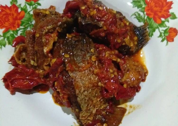 Balado patin praktis